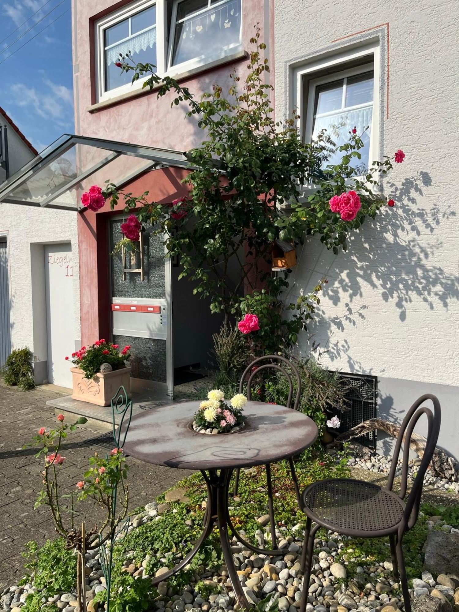 Schoene Wohnung, Bodenseenaehe Ravensburg Dış mekan fotoğraf